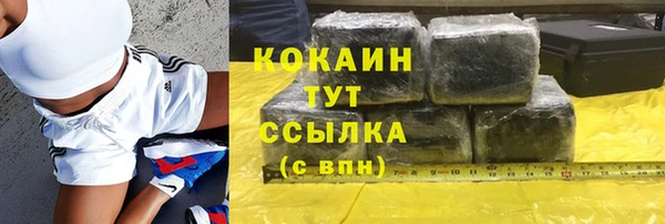 тгк Алексин