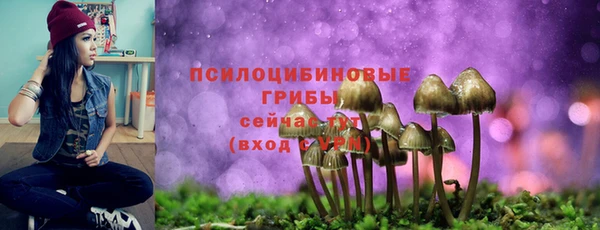 гидропоника Алексеевка