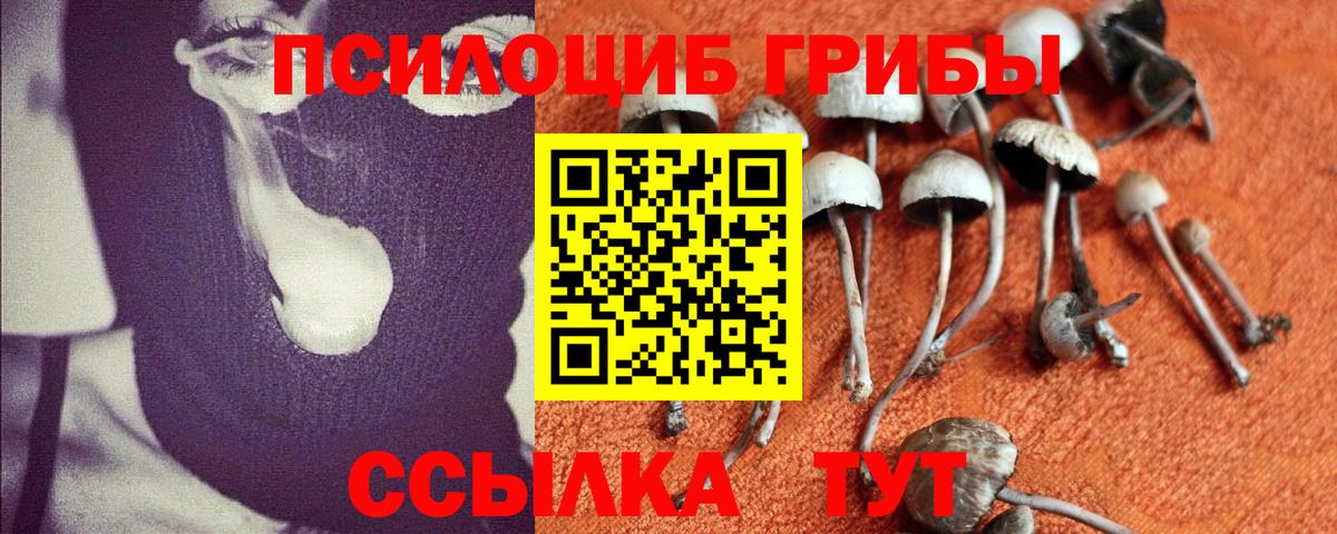 Псилоцибиновые грибы MAGIC MUSHROOMS  Вход с VPN  Большой Камень 
